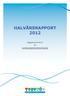 HALVÅRSRAPPORT 2012. Rapport pr 01.07.12 for KONGSBERGREGIONEN