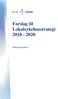 Forslag til Lokalsykehusstrategi 2010-2020. Høringsuttalelser