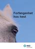 Forfangenhet hos hest