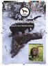 Medlemsblad for Norsk Wachtelhundklubb Nr. 1 2012 Wachtelhunden Medlemsblad for Norsk Wachtelhundklubb Nr. 1 2012