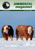 SIMMENTAL- magasinet www.norsksimmental.no Nr. 1 2014 5. årgang