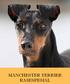 MANCHESTER TERRIER RASESPESIAL