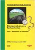 RINGERIKSBANEN. Bergensbanens forkortelse NSB. Oslo - Hønefoss 30 n1inutter. NSBs forslag av juli 1 993