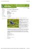 Art: Linerle (Motacilla alba)
