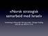 «Norsk strategisk samarbeid med Israel» Innledning av Alexander Harang, Leder i Norges fredslag UiO, 30. okt 2013 kl 12:15