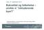 Bokvalitet og folkehelse utvikle vi inkluderende byer? Sjefarkitekt Michael J. Fuller-Gee Dip LA, MA (urban design), MNLA Husbanken Regionkontor Sør