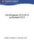 Handlingsplan 2015-2018 og Budsjett 2015