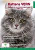 Kattens VERN. Norges første rene kattevernorganisasjon - stiftet 2004