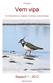 Prosjekt. Vern vipa. For beskyttelse av fuglene i Karmøys kulturlandskap. Rapport 1-2012