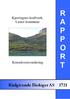R A P P O R. Rådgivende Biologer AS 1721. Kjerringnes kraftverk, Luster kommune. Konsekvensvurdering