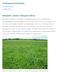 20. Økologisk grovfôrdyrking. Belgvekster - motoren i økologisk landbruk. av Gunnlaug Røthe Landbruk Nord