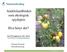 Andelslandbruket som økologisk spydspiss. Hva betyr det? Fra TF-rapport nr. 341: 2014 Lastes ned på www.telemarksforsking.no. Christine Hvitsand