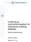 Innføring av internkontrollsystem for Psykiatrisk avdeling Blakstad. Nasjonalt topplederprogram. Carsten J. Bjerke.