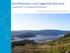 Overflatevann som hygienisk barriere - eksempler fra Trondheim kommune