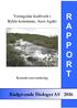 R A P P O R. Rådgivende Biologer AS 2016. Veringsåne kraftverk i Bykle kommune, Aust-Agder. Konsekvensvurdering