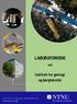 LABORATORIENE. Institutt for geologi og bergteknikk. ved. I n s t i t u t t f o r g e o l o g i o g b e r g t e k n i k k http://www.ntnu.