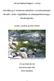 Overvåking av anadrome laksefisk i Urvoldvassdraget i Bindal i 2008: Miljøeffekter av lakseoppdrettsanlegg i Bindalsfjorden