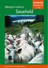 NORSØK. Småskrift Nr. 2/2004. Økologisk landbruk. Sauehold. Norsk senter for økologisk landbruk