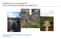 Rohkunborri nasjonalpark Plan for tilrettelegging, oppfølging og kartlegging 2013