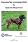 Rasespesifikk avlsstrategi (RAS) for Bayersk Viltsporhund