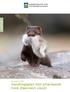RAPPORT. DN-rapport 5-2011. Handlingsplan mot amerikansk mink (Neovison vison)