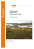 Rapport. Biologisk mangfold Mehamn lufthavn Gamvik kommune, Finnmark. BM-rapport nr 5-2011