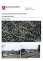 PLANBESKRIVELSE RINGSAKER KOMMUNE REGULERINGSENDRING FOR HAGEBAKKEN, MOELV. Dato: 03.042014 Oppdatert: 21.11.2014