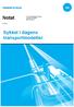 Notat. Sykkel i dagens transportmodeller Hagesund sentrum. Tormod Wergeland Haug Lisa Steine Nesse Bård Norheim 67/2014