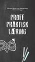 Klassens lærer og en dramapedagog i tolærerordning gir: PROFF PRAKTISK LÆRING