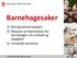 Barnehagesaker. 1) Kompetansestrategien 2) Revisjon av Rammeplan for barnehagen sitt innhald og oppgåver 3) Innmelde korttema