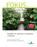 FOKUS FOKUS. Handbok for dyrking av bringebær i veksthus. Bioforsk