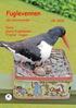 Fuglevennen. din naturkontakt Vår 2005. Tema: Store fuglekasser Troster i hagen