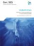 VINDKRAFT TIL HAVS. Teknologi- og industriutvikling fra et norsk bedriftsperspektiv. CenSES-rapport 1/2011, 31. august, 2011