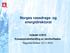 Norges vassdrags- og energidirektorat. Veileder 3/2010 Konsesjonsbehandling av vannkraftsaker Ragnhild Stokker 15.11.2010