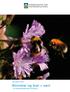 DN-notat 3-2010. Blomster og bier = sant. - om økosystemtjenesten pollinering