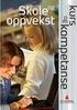 Læreplananalyse. Kjelle videregående skole 2008