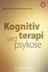 Kognitiv Terapi Ved Psykoser