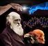 Ikke retningsbestemt evolusjon fra Darwin til Dawkins