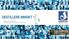 DESTILLERE INNSIKT. STEINAR MUGGERUD Sales Development Schibsted Media Group. steinar.muggerud@schibsted.no. +47 920 43 103 @smuggerud