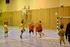 Håndbok for håndballavdelingen i Austrått Idrettslag
