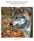 Rapport til Miljøverndepartementet Evaluering av ulvesona