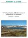 RAPPORT nr. 2-2006. Vurdering av Lågahæ, Eidfjord kommune som treningsområde for fuglehundar. Kartlegging av fuglefauna