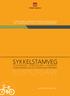 En direkte, effektiv og trafikksikker forbindelse som bidrar til økt sykkelbruk et pionerprosjekt i Norge en ny måte å tenke sykkelanlegg på