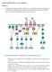 b) Describe mechanism how AMPK activity is regulated inside the cell.