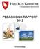 PEDAGOGISK RAPPORT 2012
