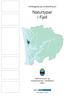 Kartlegging og verdisetting av. Naturtypar i Fjell. Fjell kommune og Fylkesmannen i Hordaland 2003
