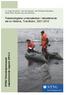 Fiskebiologiske undersøkelser i lakseførende del av Nidelva, Trondheim, 2001-2010