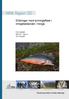 Erfaringer med tynningsfiske i innsjøbestander i Norge. Ola Ugedal Børre K. Dervo Jon Museth