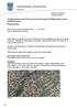 Detaljregulering av Hans Finnes gate fra Persaunvegen til Bakkaunvegen, fortau, offentlig ettersyn Planbeskrivelse