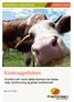 Kindereggeffekten. Hvordan kutt i norsk kjøttproduksjon kan hjelpe miljø, selvforsyning og global matsikkerhet FRAMTIDEN I VÅRE HENDER RAPPORT 5/2015